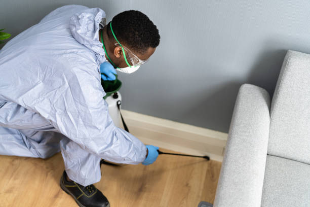 Best Residential Pest Control  in Port Jervis, NY